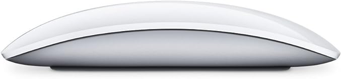 Apple Wireless Keyboard with Apple Magic Bluetooth Mouse (Renewed)