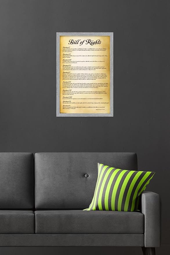 Trends International The United States of America - Bill of Rights Wall Poster, 22.4L x 14.7W, Gray Framed Version