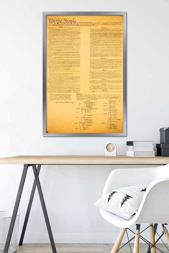 Trends International The Constitution Wall Poster, 22.375" x 34", Silver Framed Version