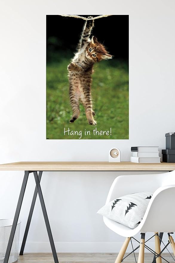 Trends International Kitten Hang In There Wall Poster 22.375" x 34" Bedroom