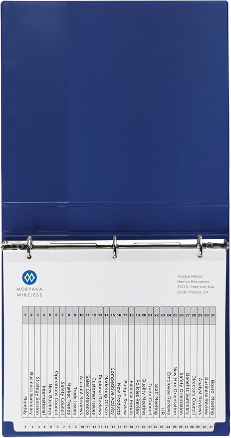 Avery Jan-Dec Dividers for 3 Ring Binders, 12 Tabs per Set, Customizable Table of Contents, Multicolor Tabs, Great for Organizing Reports, Projects, and More (24 Sets of 11127)