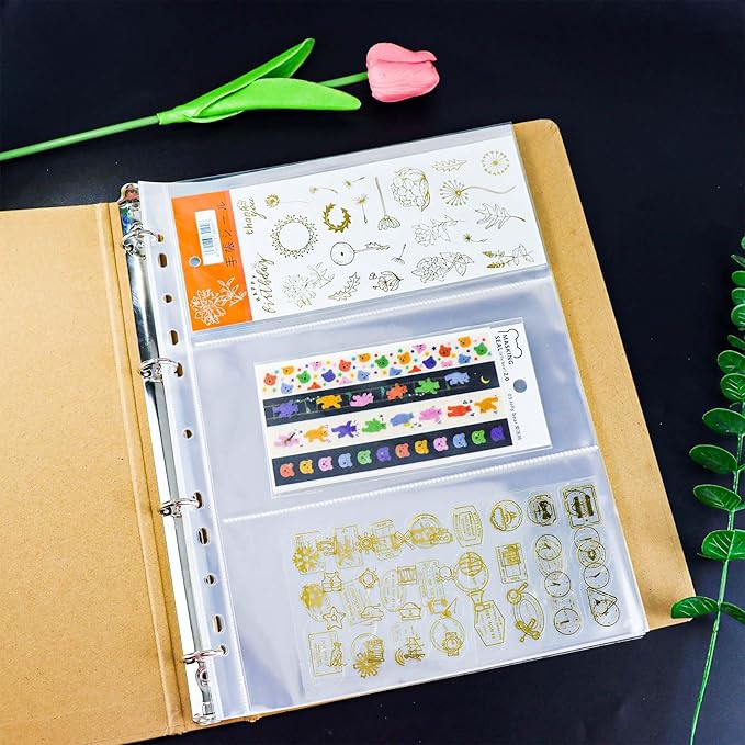Mogoostry A4 Clear Sheet Protectors 3 Pocket Binder Sleeves 20 Sheets 11 Holes Side Open Banknote Protector Currency Collection Page Protector