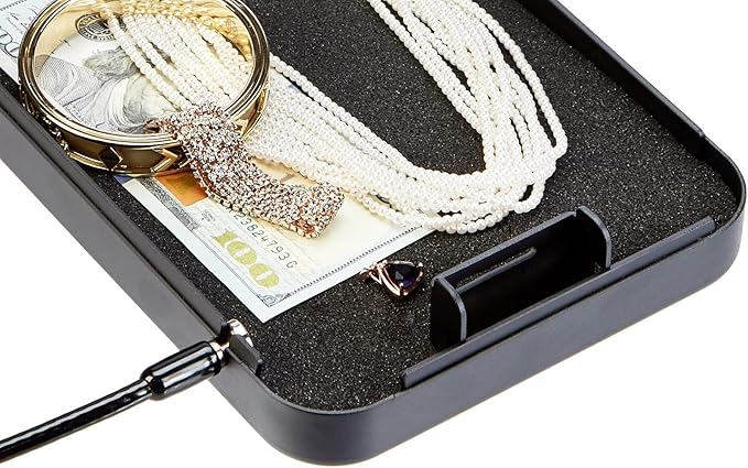 Amazon Basics Portable Security Case Lock Box Safe with Combination Lock for Valuables,Documents,College Dorm Room,XL,Black,(Pack of 4)