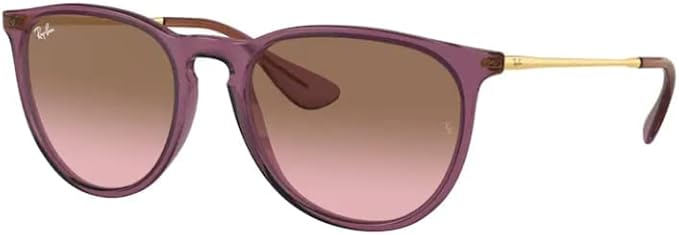 Ray-Ban RB4171 ERIKA Round Sunglasses For Women +BUNDLE with ACCESSORY EYEWEAR KIT