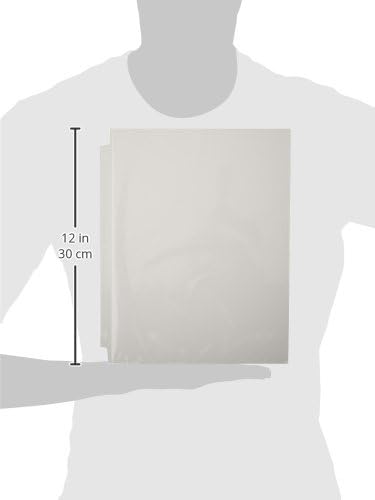 Avery Economy Weight Sheet Protectors, Acid Free, 8.5" x 11", 100 per Pack, 200 Clear Document Protectors Total (2-Pack of 75091)