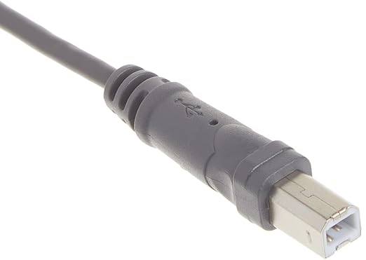 Belkin F3U133-06INCH Components USB A/B Device Daisy Chain for USB Hub (6 Inches)