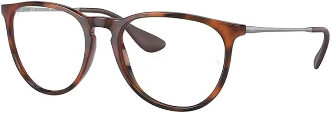 Ray-Ban RB4171 ERIKA Round Sunglasses For Women +BUNDLE with ACCESSORY EYEWEAR KIT