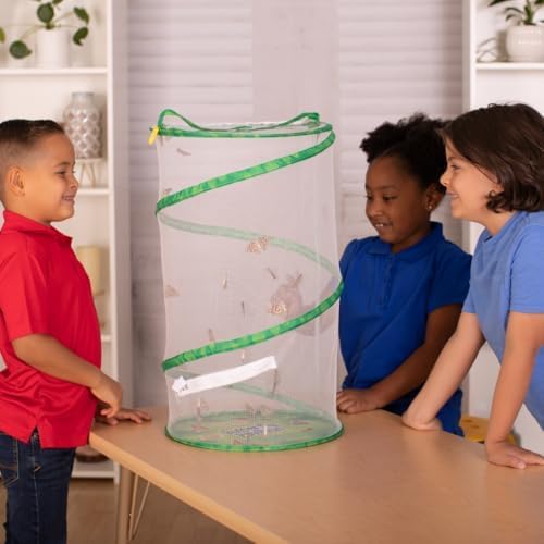 Insect Lore School Kit Refill with 33 Live Caterpillars - STEM Activity Journal & 33 Live Baby Painted Lady Butterfly Caterpillars - Cups & Tools Included