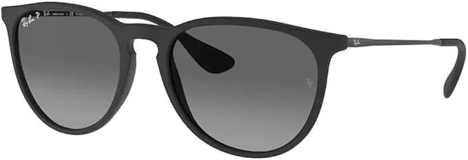 Ray-Ban RB4171 ERIKA Round Sunglasses For Women +BUNDLE with ACCESSORY EYEWEAR KIT