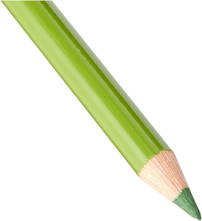 Faber-Castell Polychromos Artists' Single Pencil - Colour 168 Earth Green Yellowish