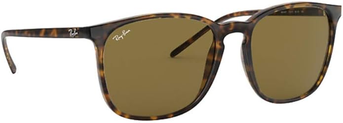 Ray-Ban Unisex Rb4387 Evolve Photochromic Square Sunglasses