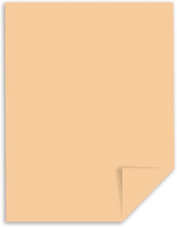 Exact Vellum Bristol, 8.5" x 11", 67 lb/147 GSM, Tan, 250 Sheets (82381)