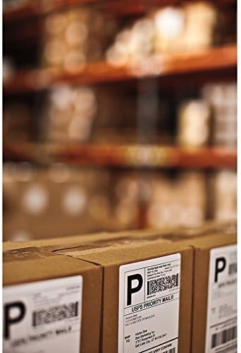DYMO Authentic LW Extra-Large Shipping Labels for LabelWriter Label Printers, White, 4'' x 6'', 5 Pack, 1100 Labels Total