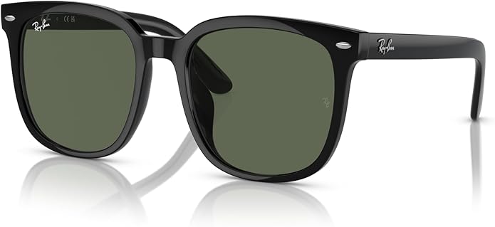 Ray-Ban Unisex Rb4401d Square Sunglasses