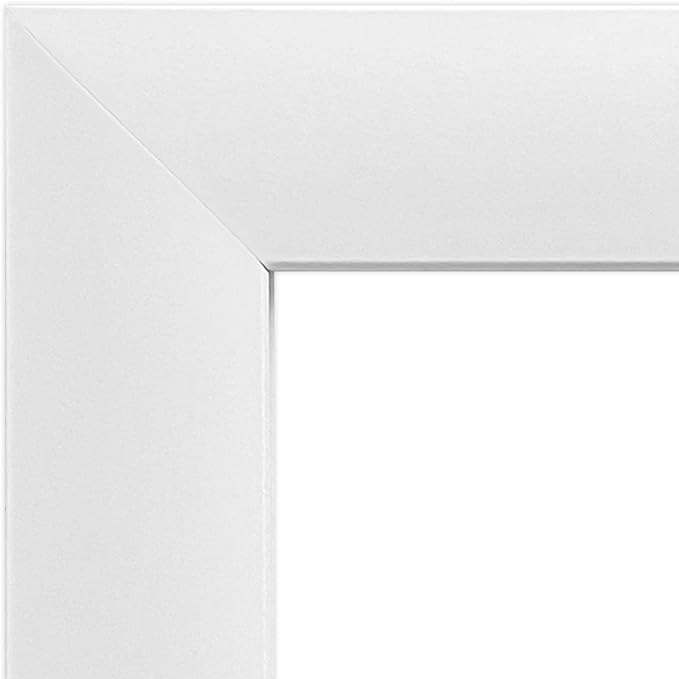 Trends International The United States of America - Bill of Rights Wall Poster, 14.725" x 22.375", White Framed Version