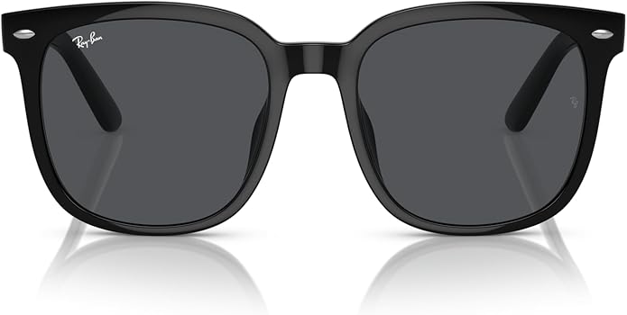 Ray-Ban Unisex Rb4401d Square Sunglasses