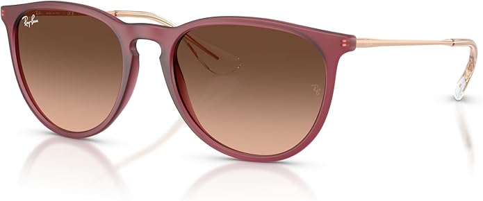 Ray-Ban womens Rb4171 Erika Round Sunglasses