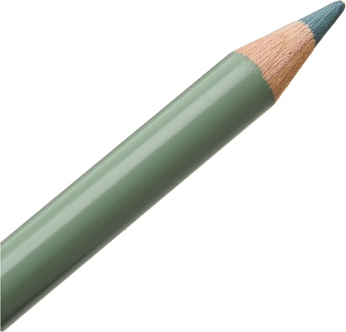 Faber-Castell Polychromos Artists' Single Pencil - Colour 172 Earth Green