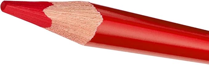 STAEDTLER Colored Pencils Set 12-Pack (12 Sets of 72 pcs) - Ergonomic Triangular Barrel, Smooth 4mm Lines, Wood - 72 Vibrant Colors in Tin, for Artists & Students, 864 Count