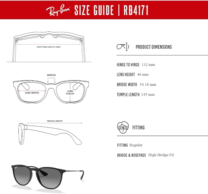 Ray-Ban RB4171 ERIKA Round Sunglasses For Women +BUNDLE with ACCESSORY EYEWEAR KIT