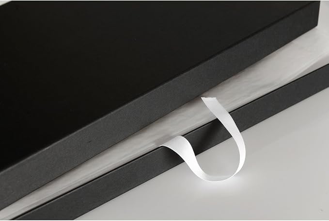 Canson Infinity Archival Box, for Images and Documents up to 13 x 19 inches, Fits 13 x 19 Inch Sheets, Black