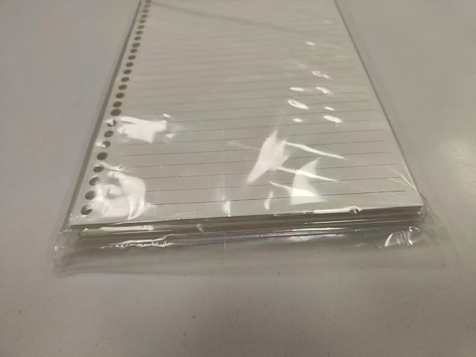 2 Pack A6 6 Holes Page Marker Ruler Plastic Binder Ruler Divider Ruler for Journal Magazine Notebook (BTRuler, A6)