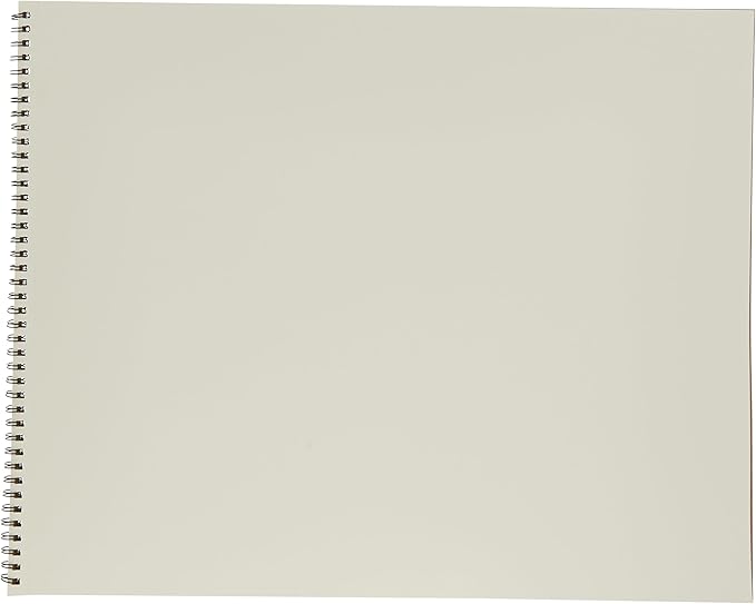 Strathmore (400-107 400 Series Drawing, Smooth Surface, 14x17, White