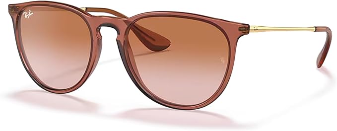 Ray-Ban RB4171 ERIKA Round Sunglasses For Women +BUNDLE with ACCESSORY EYEWEAR KIT