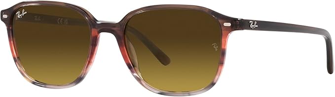 Ray-Ban RB2193 Leonard Square Sunglasses