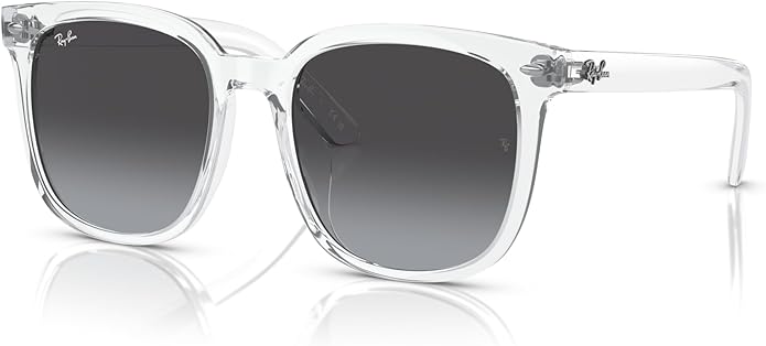 Ray-Ban Unisex Rb4401d Square Sunglasses