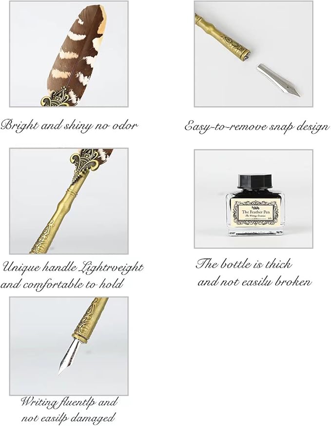 hhhouu Feather Pen and Ink Set, Quill Pen Set Antique Dip Pen with Ink and 6 Replacement Nibs 6pcs Nibs Calligraphy Pens for Beginners HO-Q-300