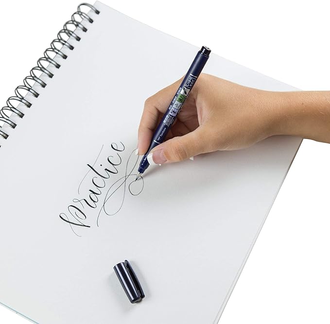 Tombow 56191 Advanced Lettering Set. Includes Need to Enhance Your Hand Lettering