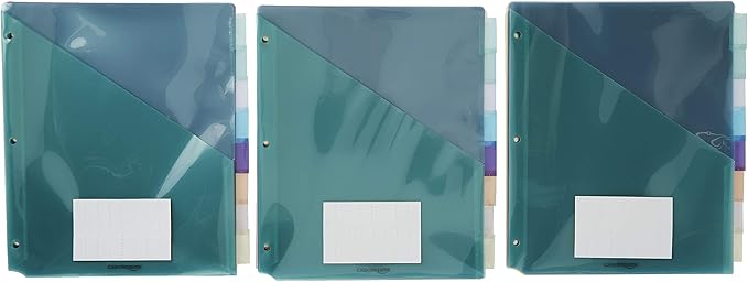 Amazon Basics Tab Dividers for 3 Ring Binder, Two Pocket, Letter Size, Transparent Assorted Colors, 24 Count