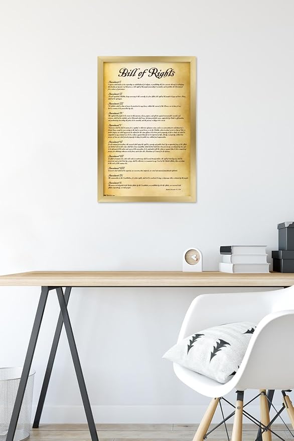 Trends International The United States of America - Bill of Rights Wall Poster, 14.725" x 22.375", Gold Framed Version