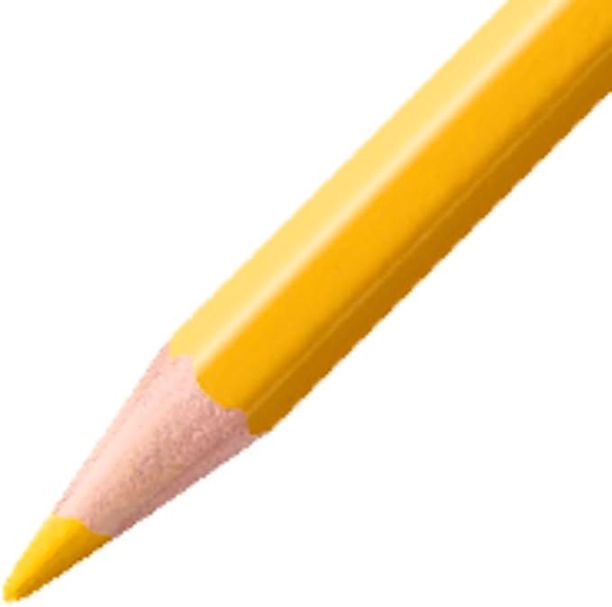 STABILO Aquarellable Coloring Pencil - STABILOaquacolor - Tin of 12 - Assorted Colors