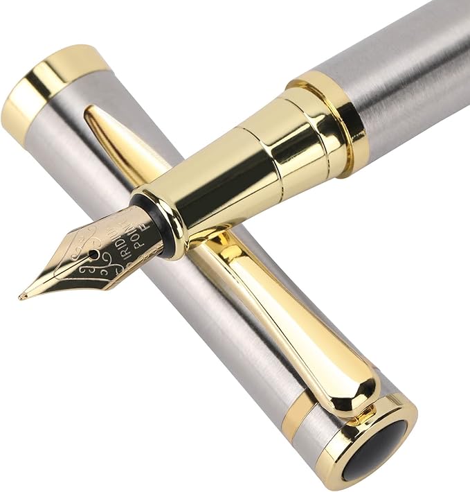 Cheericome Luxury Fountain Pen Set - Smooth Writing Fountain Pen Fine Nib, Includes 10 Ink Cartridges and Ink Refill Converter - Silver