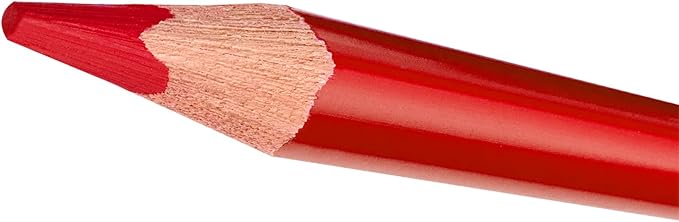 STAEDTLER Triangular Colored Pencils, Metal Tin of 24 Colors, Coloring Pencils for School, Art, Crafts - Art Supplies for Beginners, Students, Hobbyists