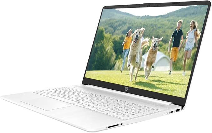 HP Notebook Laptop, 15.6" FHD Display, AMD Athlon Gold 3150U, 16GB RAM, 2TB PCIe SSD, SD Card Reader, Webcam, HDMI, Wi-Fi, Windows 11 Home, Silver
