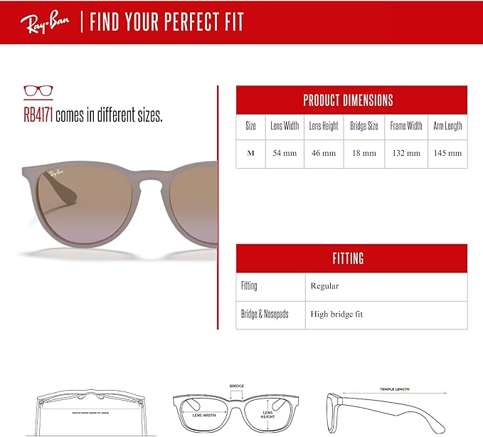 Ray-Ban RB4171 ERIKA Round Sunglasses For Women +BUNDLE with ACCESSORY EYEWEAR KIT