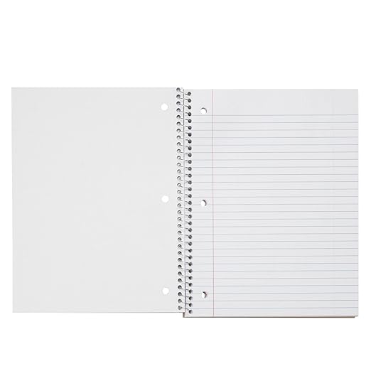 School Smart Spiral Wide Ruled Notebook, 8 x 10-1/2 Inches