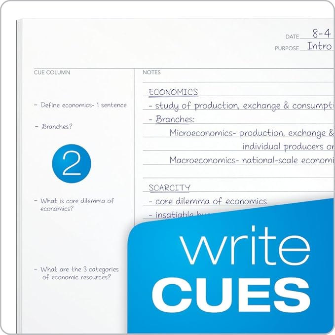 Oxford FocusNotes Note Taking System 1-Subject Notebook, 11 x 9 Inches, White, 100 Sheets (90223) - Black