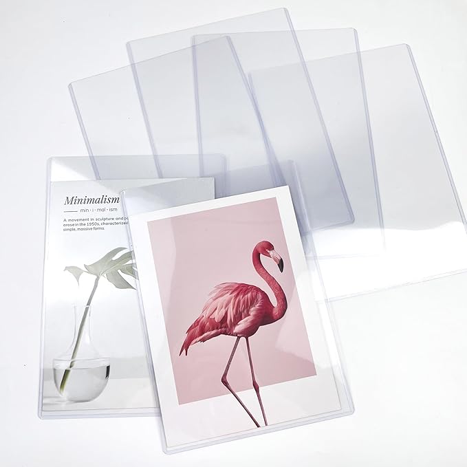 Rainmae 6 Pack 8.5" x 11" Rigid Print Protectors, Clear Waterproof Hard Plastic Page Sheet Protectors, Paper Sleeves Photo Plastic Sleeves Document Holder Birth Certificate Protector