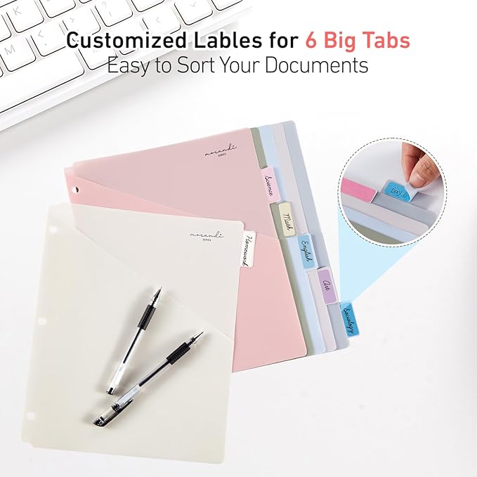 6-Tab Dividers for 3 Ring Binder, 12 Counts Binder Dividers Index with One Pockets, Letter Size 8.5 x 11'', Morandi Colors (2)