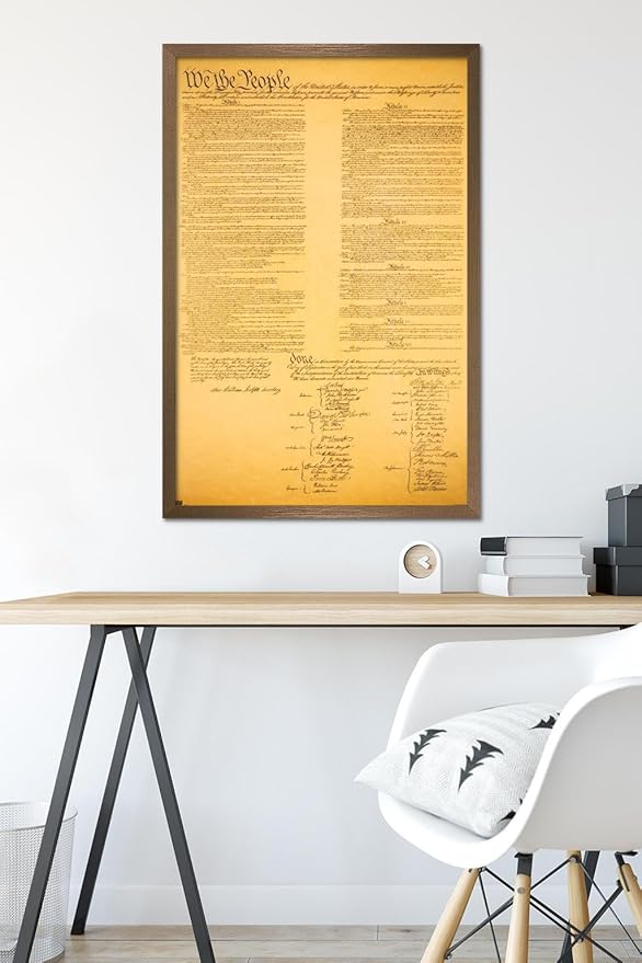 Trends International The Constitution Wall Poster, 22.375" x 34", Bronze Framed Version