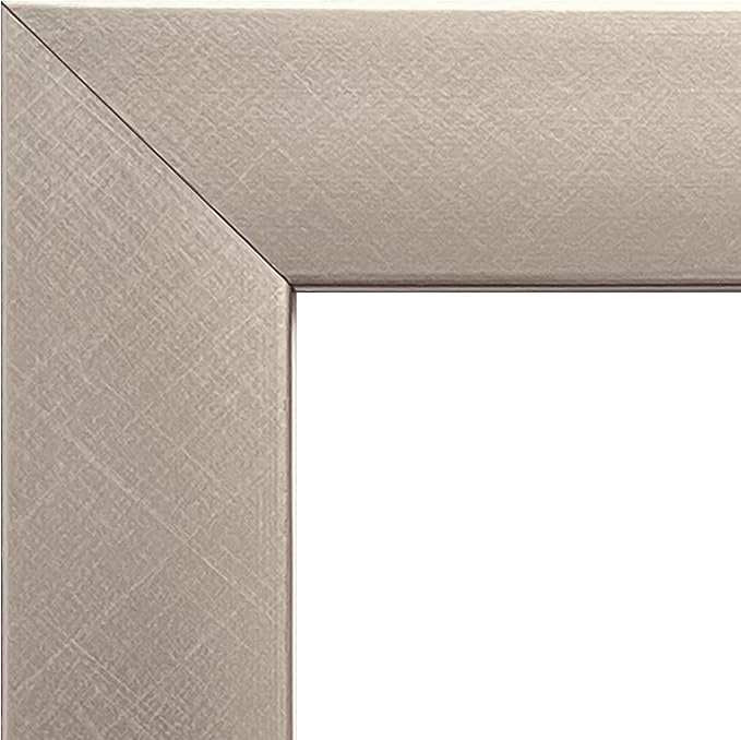 Trends International Zebra Stripe Optical Illusion Wall Poster, 14.725" x 22.375", Silver Framed Version