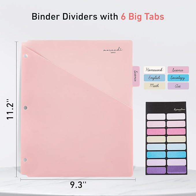 6-Tab Dividers for 3 Ring Binder, 12 Counts Binder Dividers Index with One Pockets, Letter Size 8.5 x 11'', Morandi Colors (2)