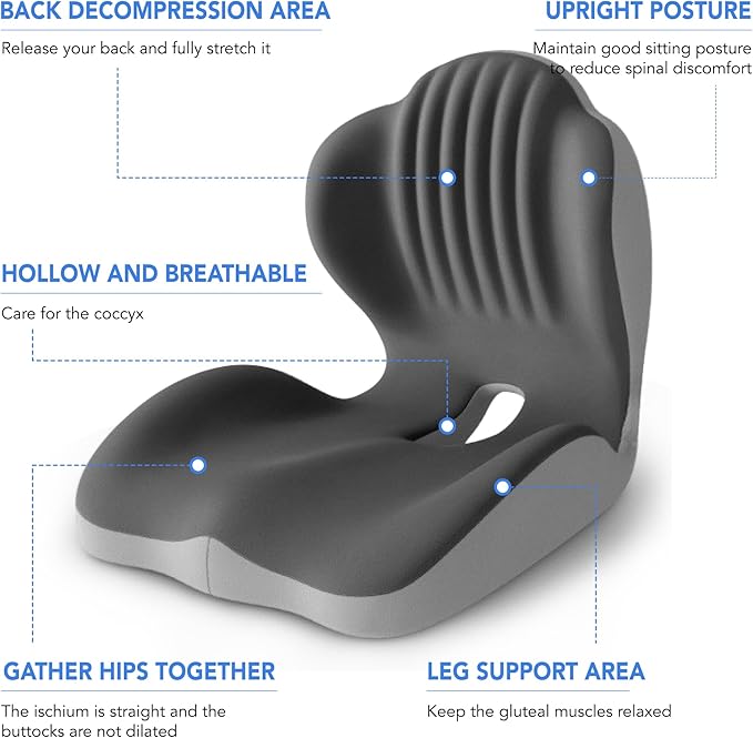 Ergonomic Waist Support and seat Cushion, 2-in-1 Memory Foam pad, Hollow Design for The Coccyx, Suitable for Office Chairs, car Safety Seats and Household use - relieves Lower Back and Hip Pain