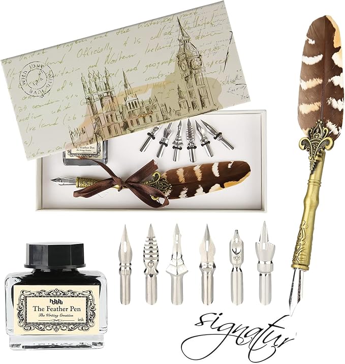 hhhouu Feather Pen and Ink Set, Quill Pen Set Antique Dip Pen with Ink and 6 Replacement Nibs 6pcs Nibs Calligraphy Pens for Beginners HO-Q-300