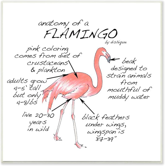 Stupell Industries Flamingo Bird Facts Chart Educational Wildlife Animals, Design by Dishique