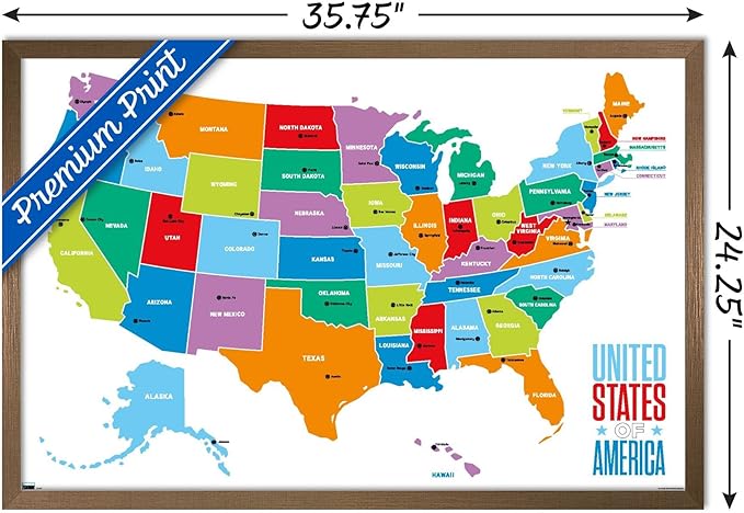 Trends International Map - United States Of America 2022 Wall Poster, 22.375" x 34", Bronze Framed Version